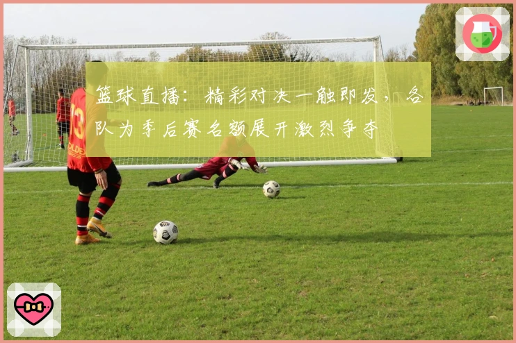 篮球直播：精彩对决一触即发，各队为季后赛名额展开激烈争夺